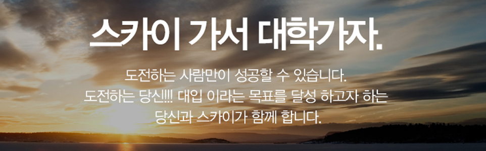 스카이체대입시_
