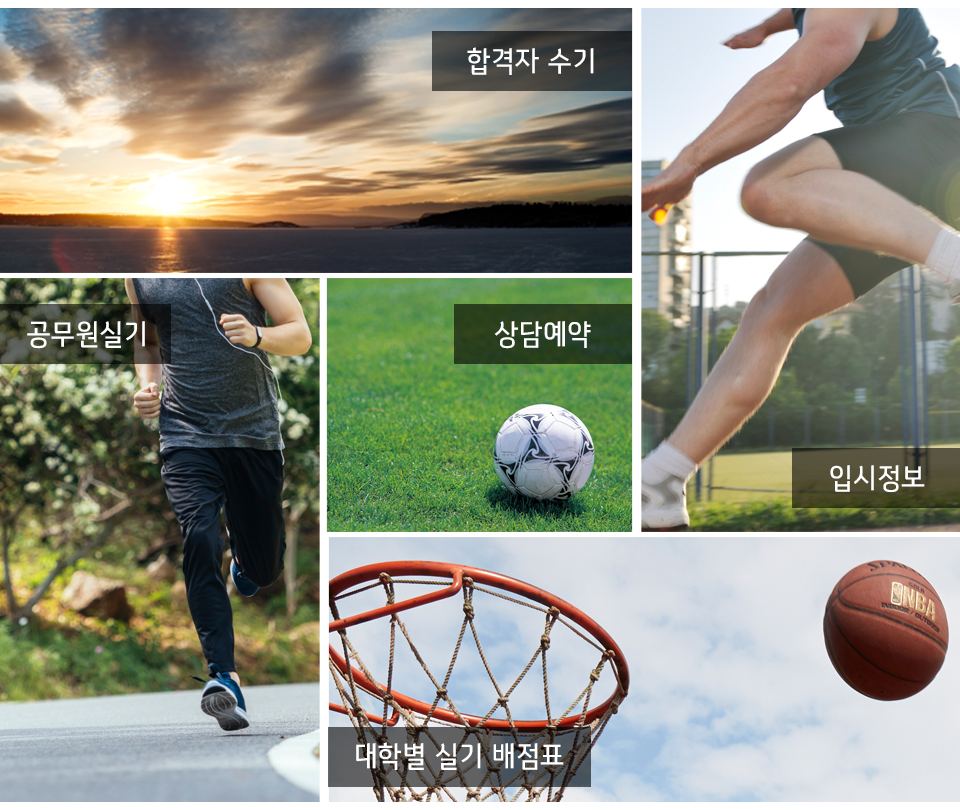 스카이체대입시_메인중단