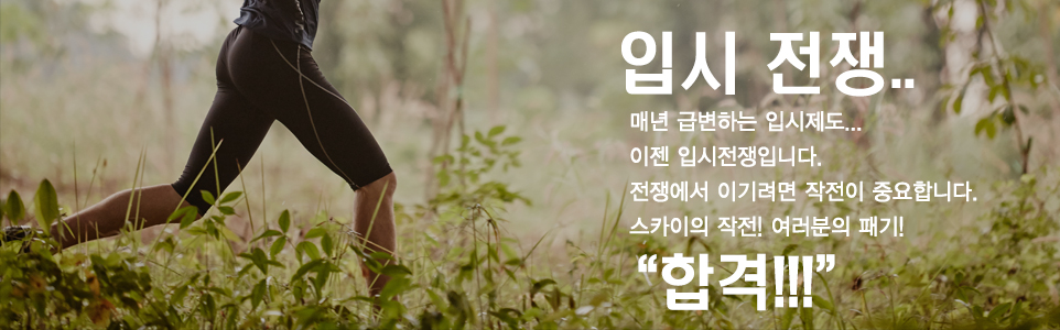스카이체대입시_